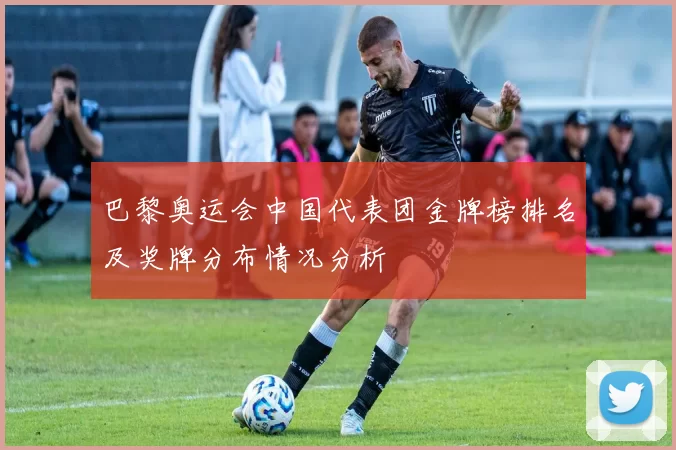 巴黎奥运会中国代表团金牌榜排名及奖牌分布情况分析