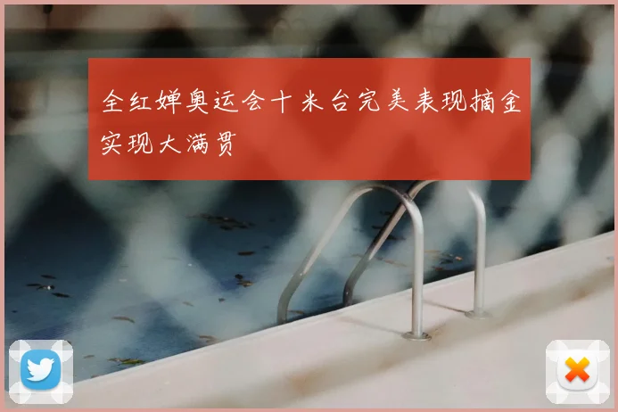 全红婵奥运会十米台完美表现摘金实现大满贯